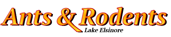 Lake Elsinore Ant Exterminator & Rodent Control Company Logo